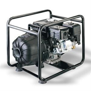 EDP55RV Sta-Rite Pumps Engine Driven Pump with Rollcage