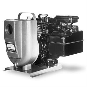 EEDD Sta-Rite Sewage Pumps 