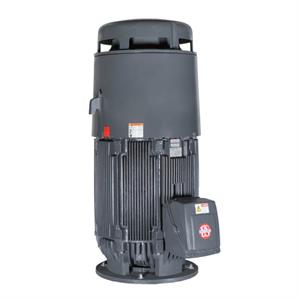 U.S. Motors - Emerson NT2P1BE Motor