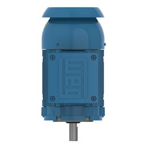 00118XT3ER143TC WEG Explosion Proof Motor (1 HP, 1800 RPM, 3 Phase, 143TC Frame, 208-230/460 Voltage, Explosion Proof)
