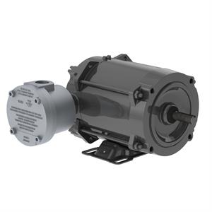 WEG .5018XS3E56