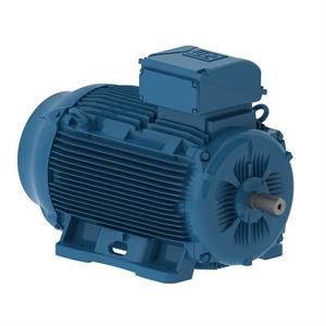WEG E15036EP3Y315SMF3-W2