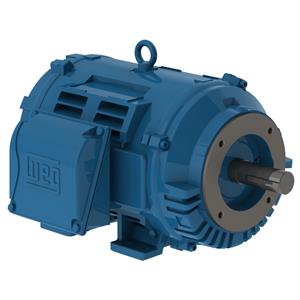 WEG 03036OT3E284TSC
