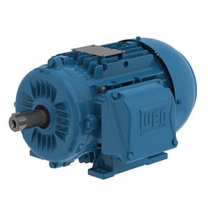 WEG E04536EP3Y225SMF3-W2