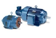 Leeson Inverter Duty AC Electric Motors