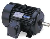Leeson Explosion Proof 3 Phase AC Electric Motors