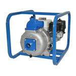AMT Pumps 2P5XHR