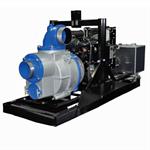 AMT Pumps 5588-D6