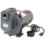 AMT Pumps Self-Priming Utility Pump