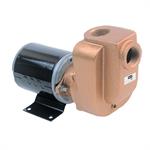 AMT Pumps Self-Priming Utility Pump