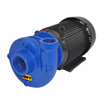 AMT Cast Iron Heavy Duty Straights Pumps