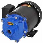 AMT Cast Iron Small Straight Centrifugal Pumps