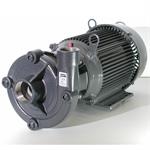 AMT Stainless Steel Heavy Duty Straights Pumps