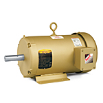 Baldor EFM3116T