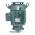 Baldor Vertical P-Base Motors
