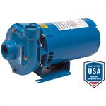 Goulds 3642 Pump Series
