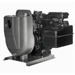 EDDH Sta-Rite Sewage Pumps 