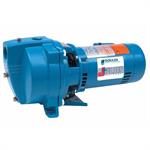 Goulds Shallow Well Jet Pump