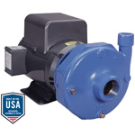 Goulds Pumps 22BF1E1K0