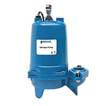 Goulds WS_BF Pump Series, Model 3887BF