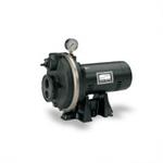 Sta-Rite PL Series Convertible Deep Well Jet Pumps