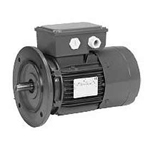 US Motors FCR Series Brakemotor