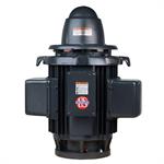 US Motors Single Phase Weather Protected Type I, WPI, "P" Base