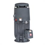 US Motors Vertical Solid Shaft Normal Thrust