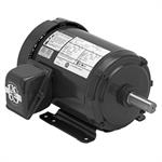 S10P1A U.S. Motors (10 HP, 215T Frame, Three Phase, 3600 RPM)