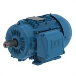 WEG IEC Tru-Metric Motors