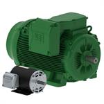WEG General Purpose Motors