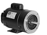 WEG Pump Motors
