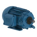 WEG Cooling Tower Motors