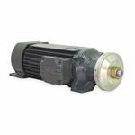 WEG Saw Arbor Motors