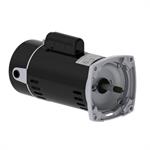 WEG Pool and Spa Motors