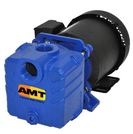 AMT Cast Iron Centrifugal Pumps