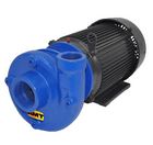 AMT Heavy Duty Straight Centrifugal Pumps