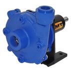 AMT Straight Centrifugal Pedestal Pumps