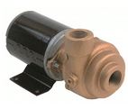 AMT Bronze Marine Pumps