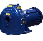 AMT Self-Priming Pumps Coupled to Explosion Proof Motors
