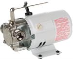 Little Giant Utility Pumps