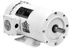 U.S. Motors - Emerson WD12C1JC Motor